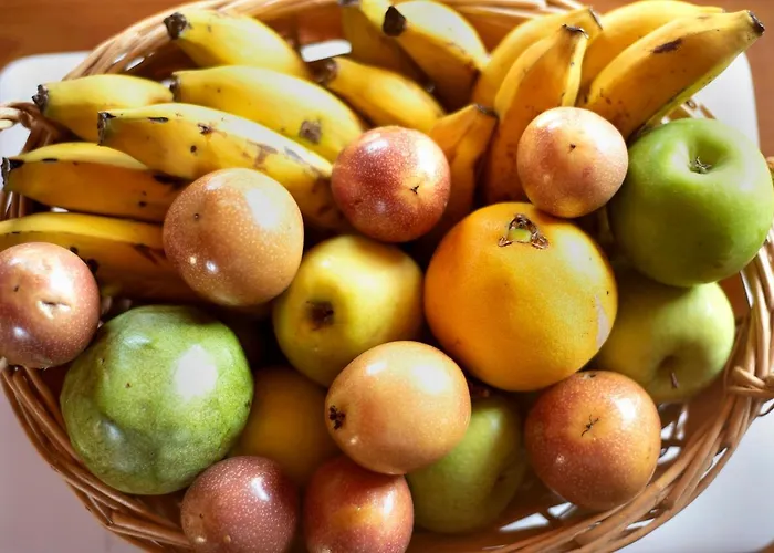 Tily Икод-де-лос-Винос