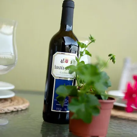 Tily Hébergement de vacances Icod De Los Vinos